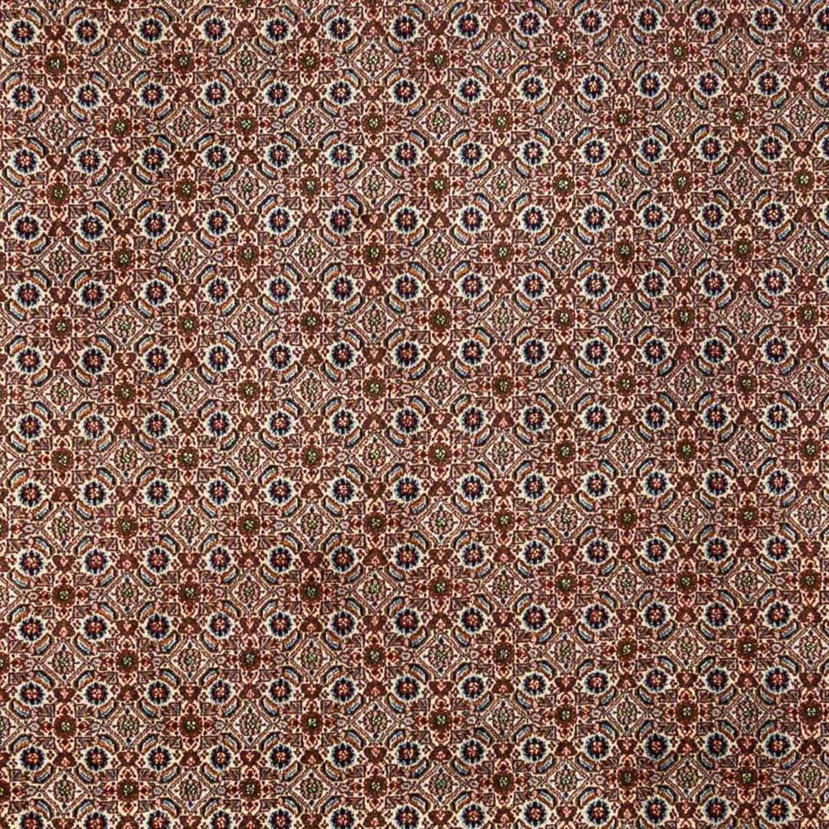 Perser Rug - Classic - 350 x 260 cm - brown