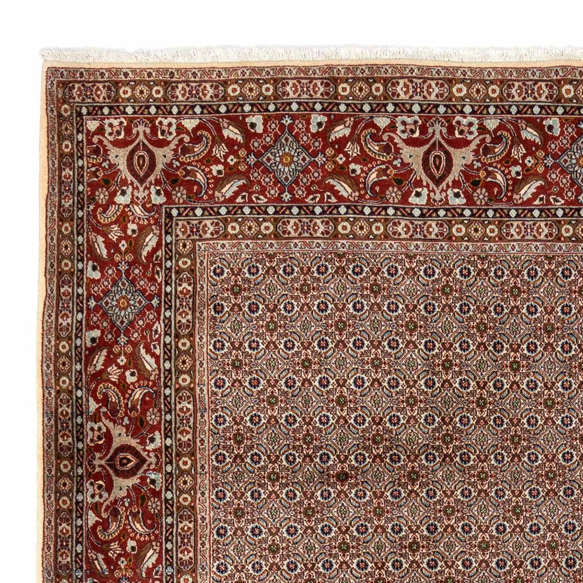 Moud Rug 260x350cm - Persian Rugs