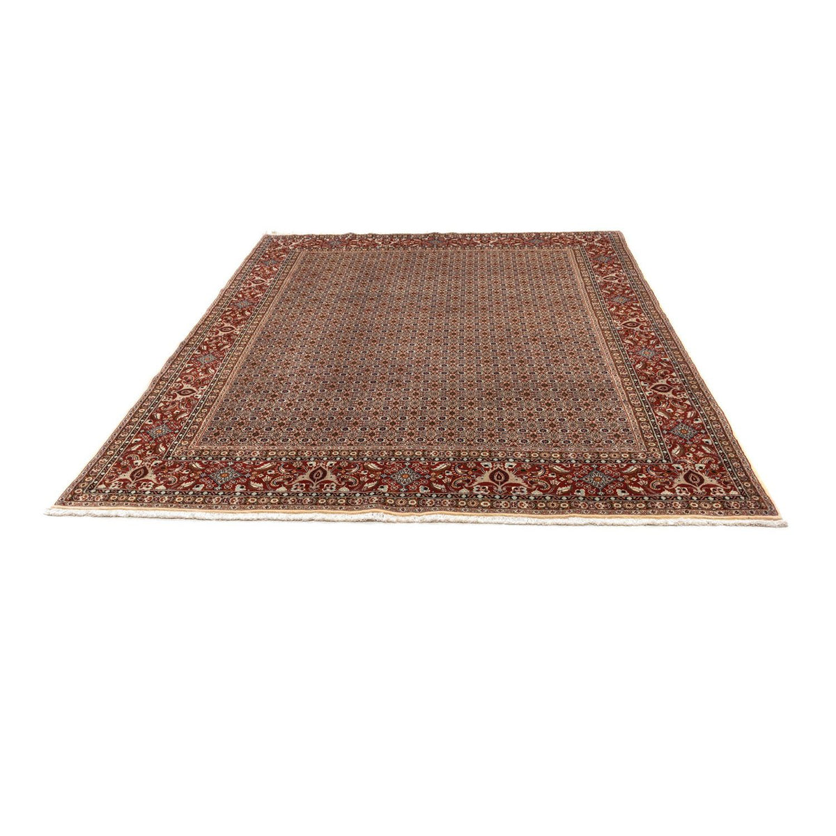 Perser Rug - Classic - 350 x 260 cm - brown
