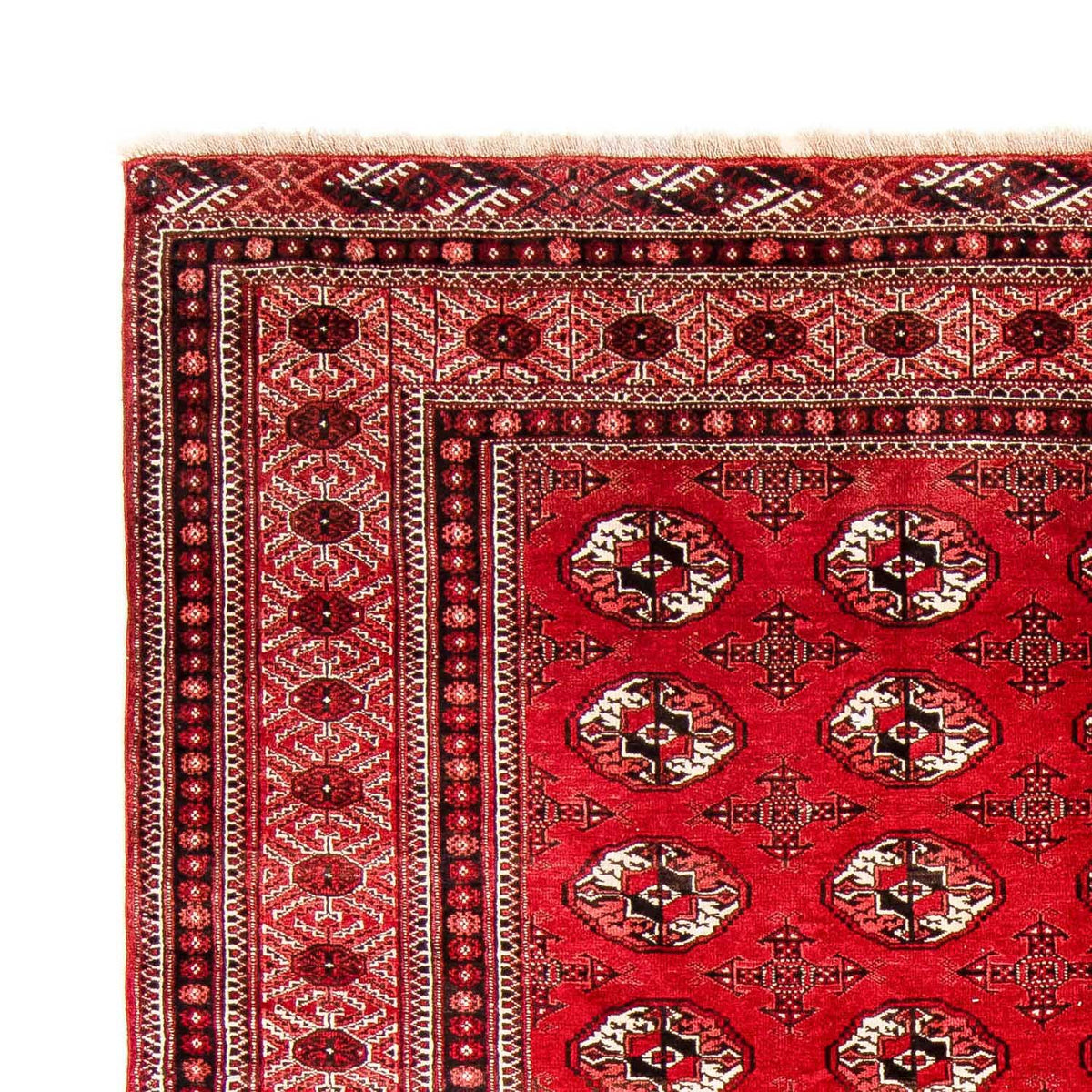 Turkaman Rug 248x368cm - Persian Rugs