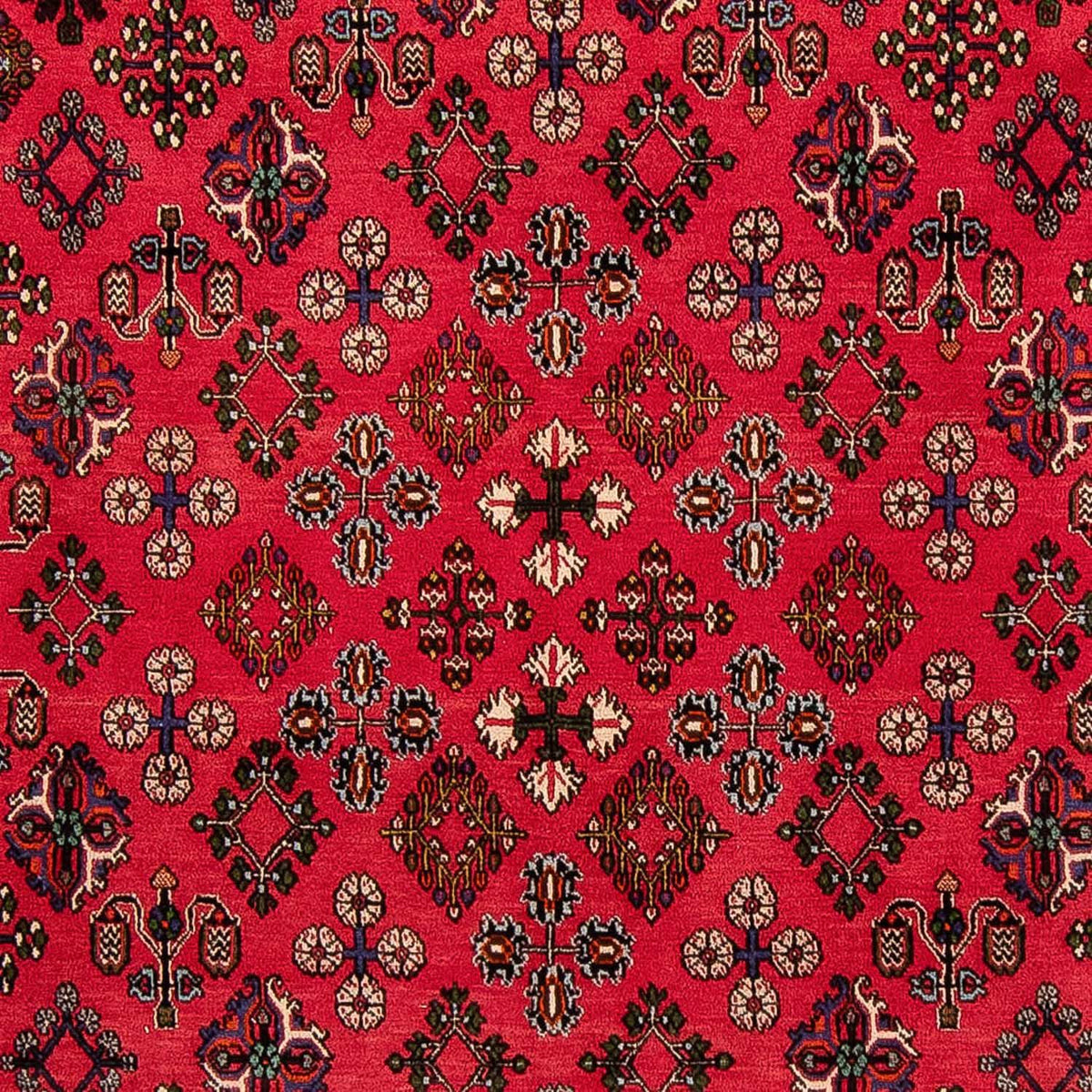 Perser Rug - Nomadic - 330 x 240 cm - dark red