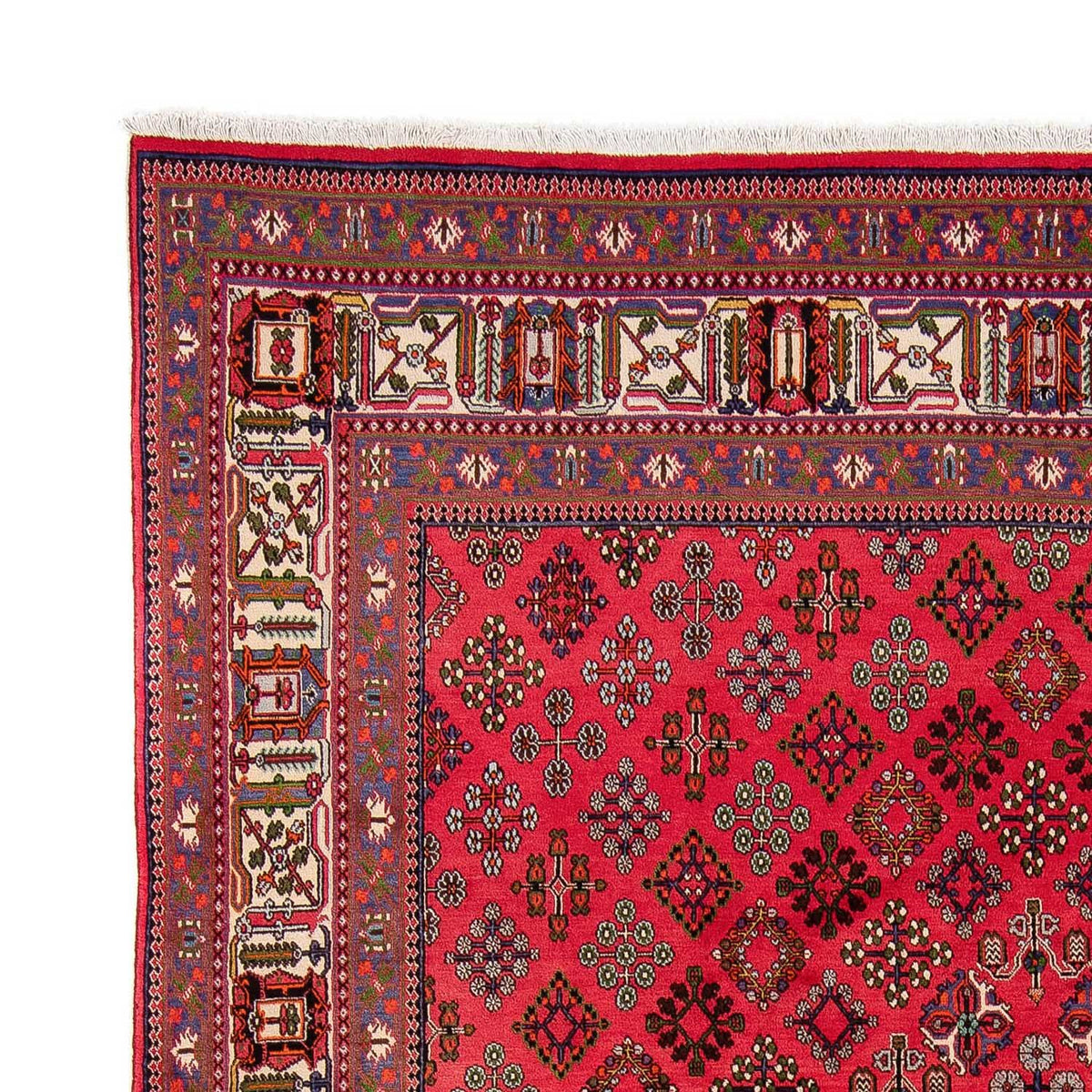 Perser Rug - Nomadic - 330 x 240 cm - dark red