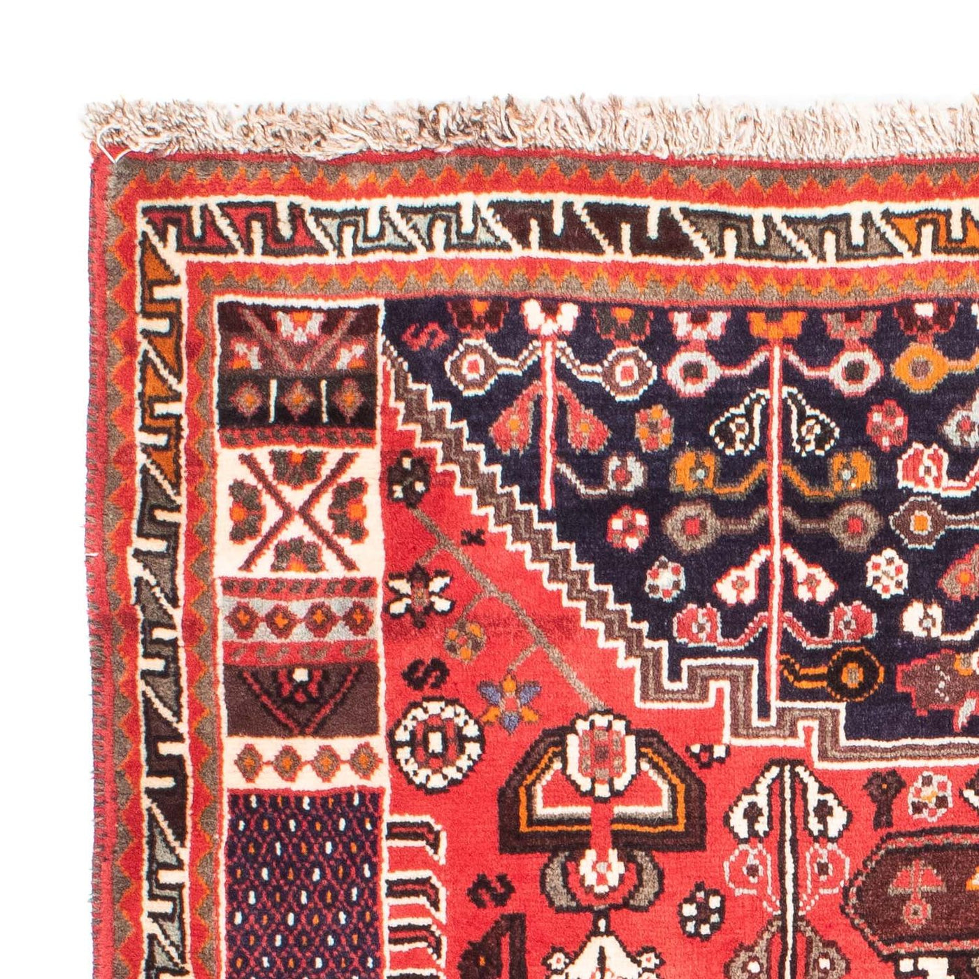 Shiraz Rug 158x118cm - Persian Rugs