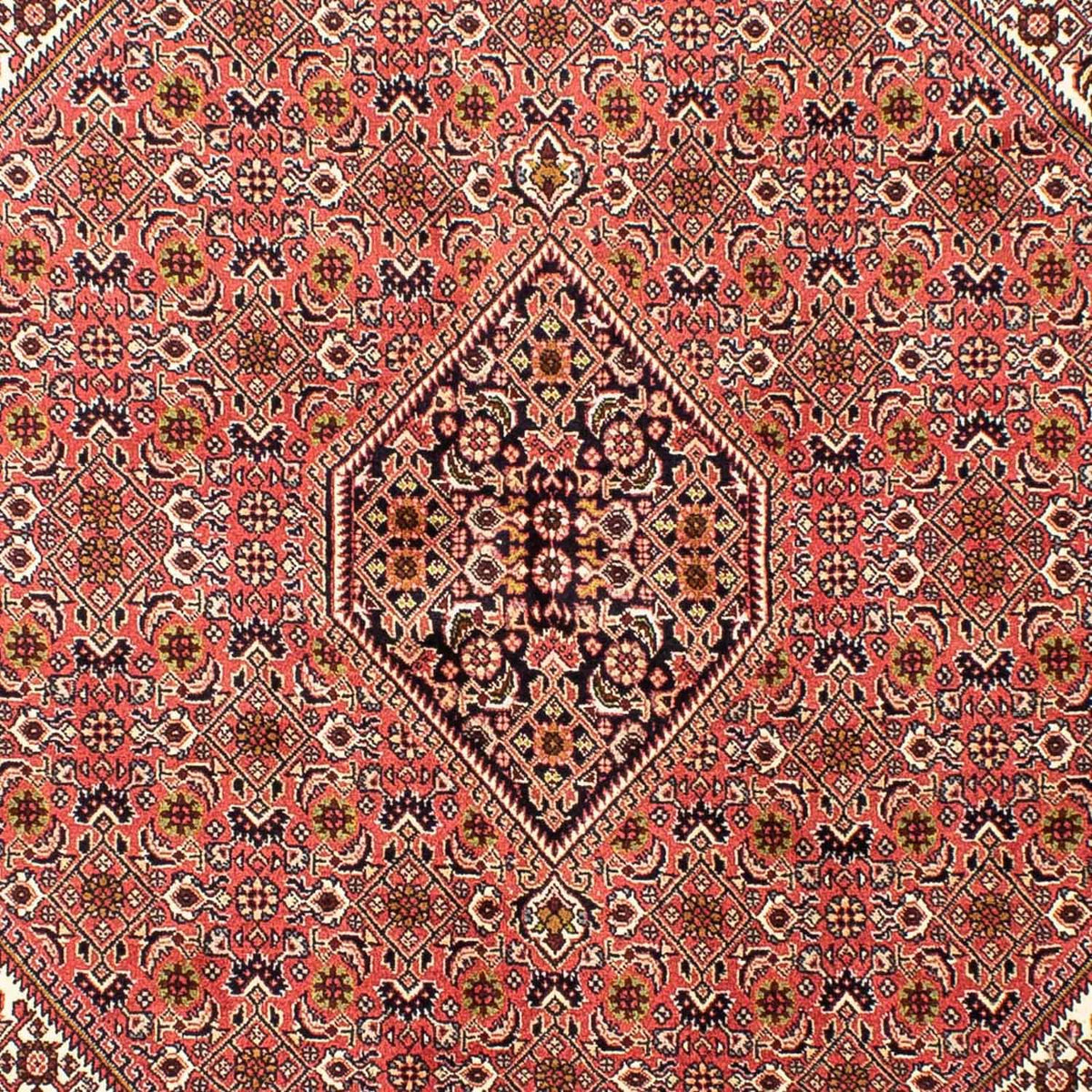 Perser Rug - Bidjar - 240 x 170 cm - light red