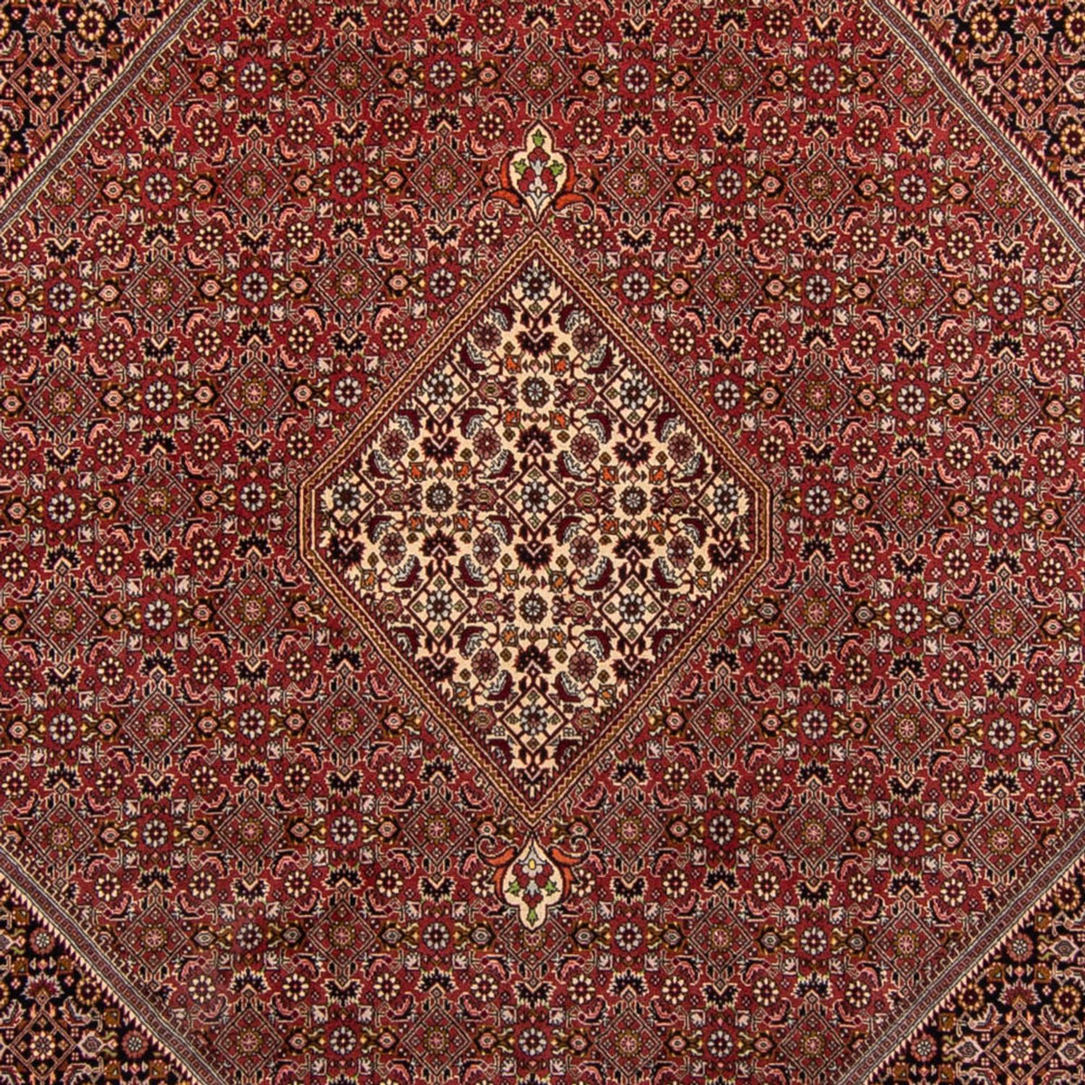 Perser Rug - Bidjar - 338 x 250 cm - brown