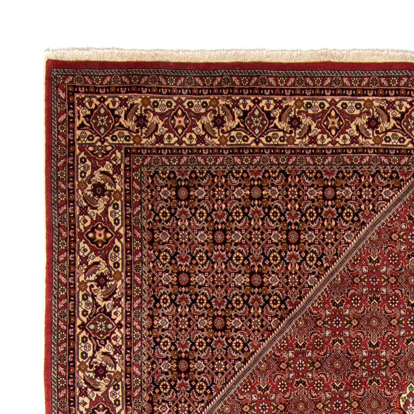 Bidjar Rug 338x250cm - Persian Rugs