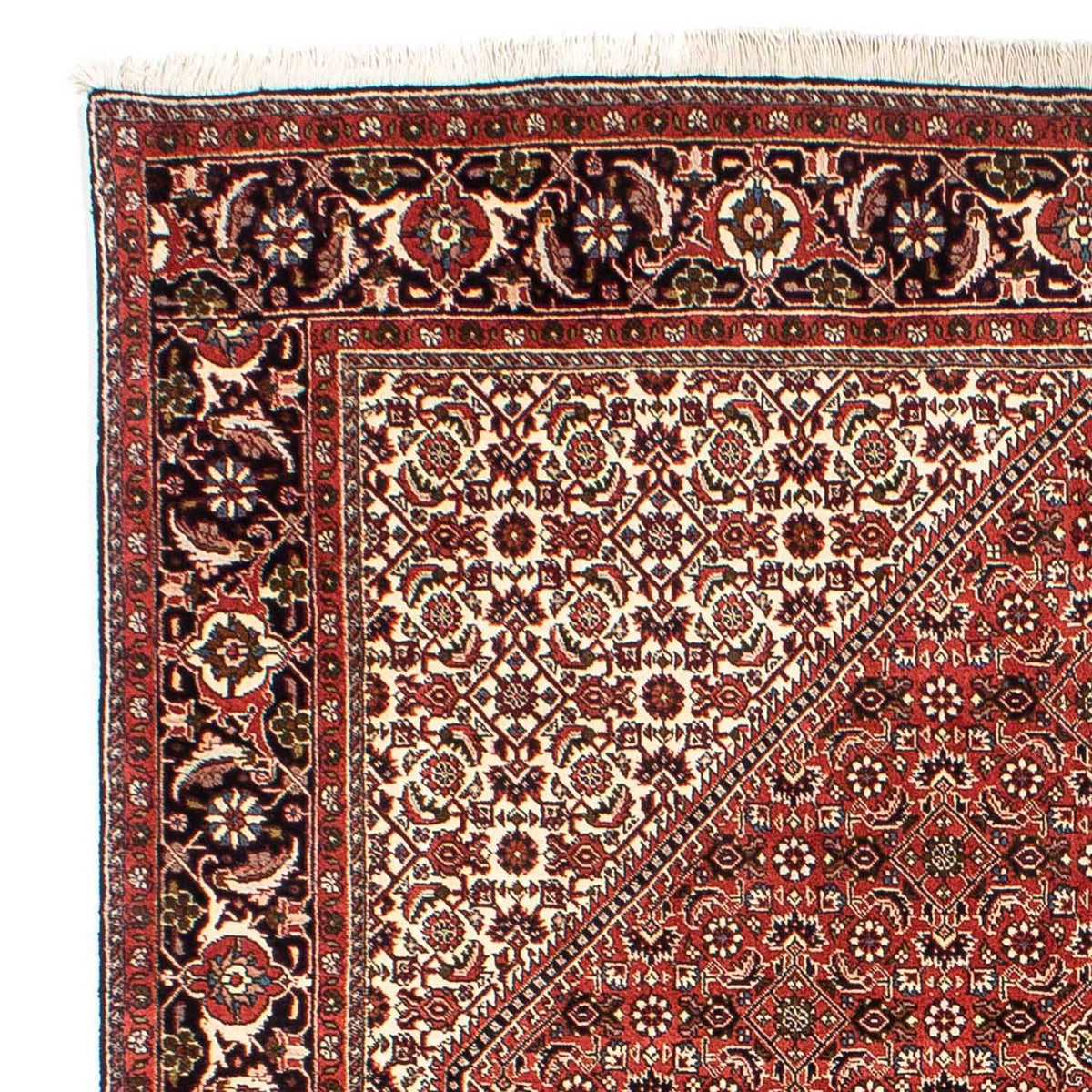 Perser Rug - Bidjar - 242 x 173 cm - light red