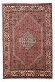Bidjar Rug 170x255cm - Persian Rugs