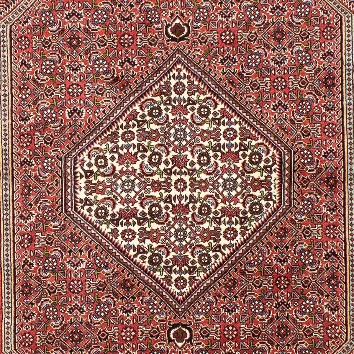 Perser Rug - Bidjar - 255 x 170 cm - light red