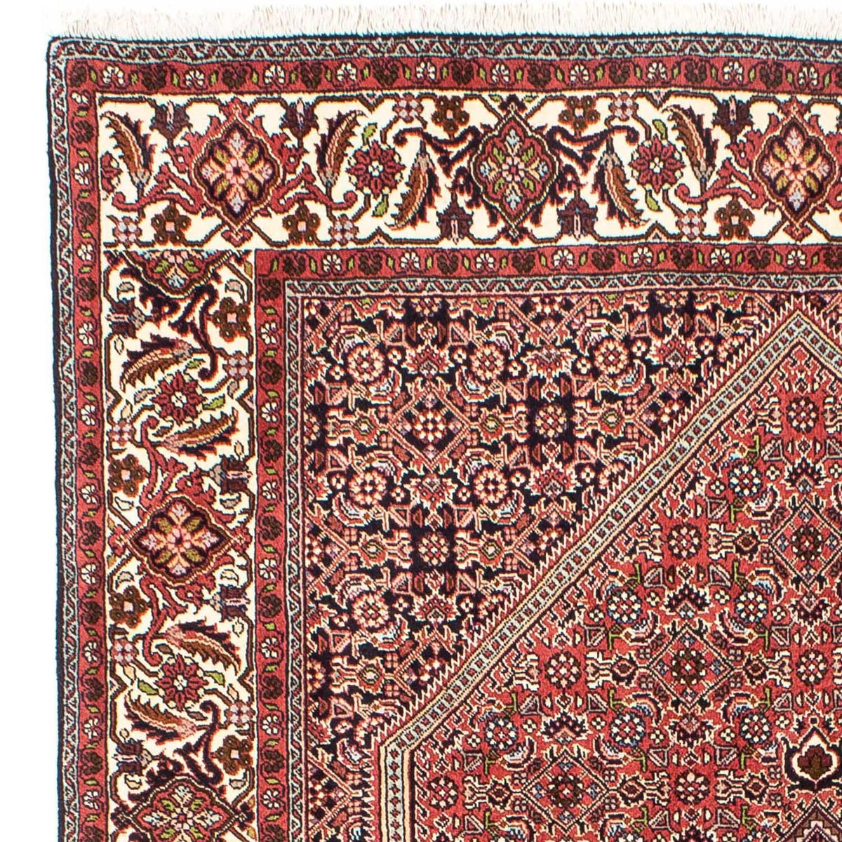 Bidjar Rug 170x255cm - Persian Rugs