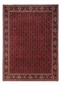 Perser Rug - Bidjar - 350 x 250 cm - red