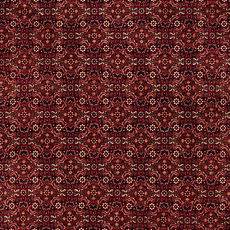 Perser Rug - Bidjar - 350 x 250 cm - red