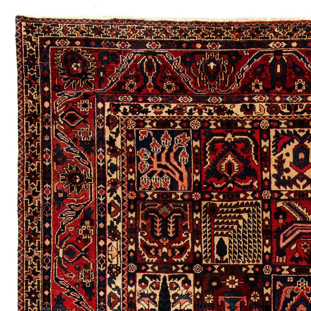 Bakhtiari Rug 305x374cm - Persian Rugs
