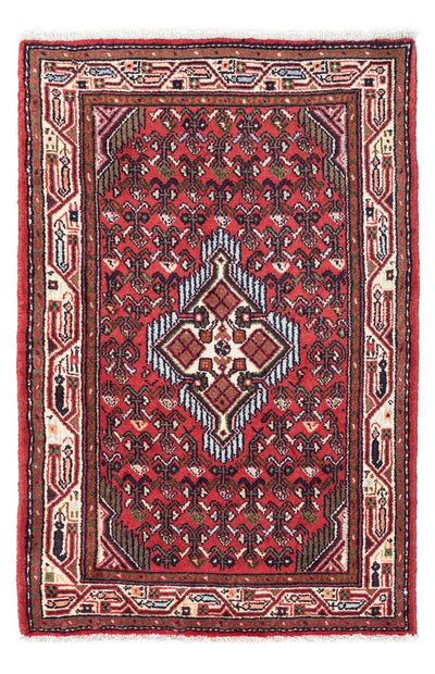 Hosseinabad Rug 80x125cm - Persian Rugs