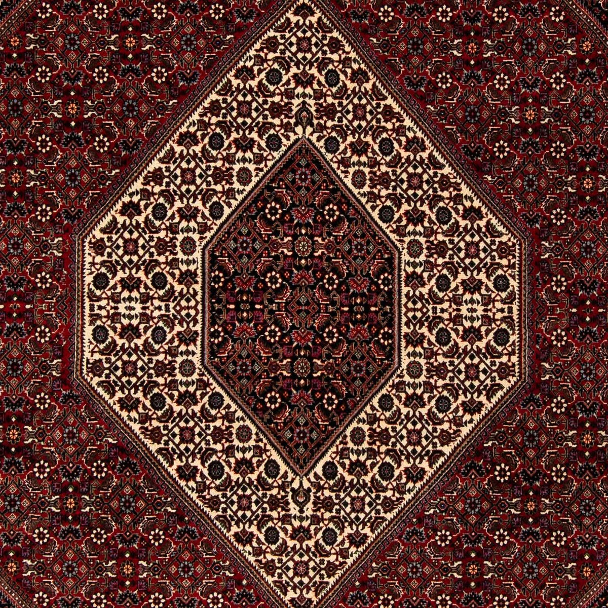 Perser Rug - Bidjar - 251 x 203 cm - dark red