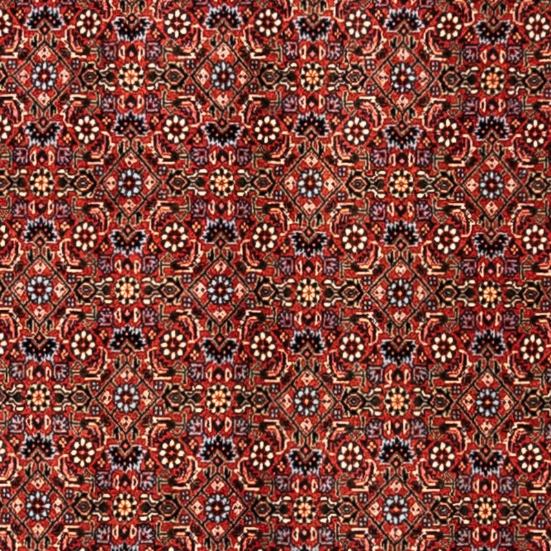 Bidjar - Takab Rug 363x248cm - Persian Rugs