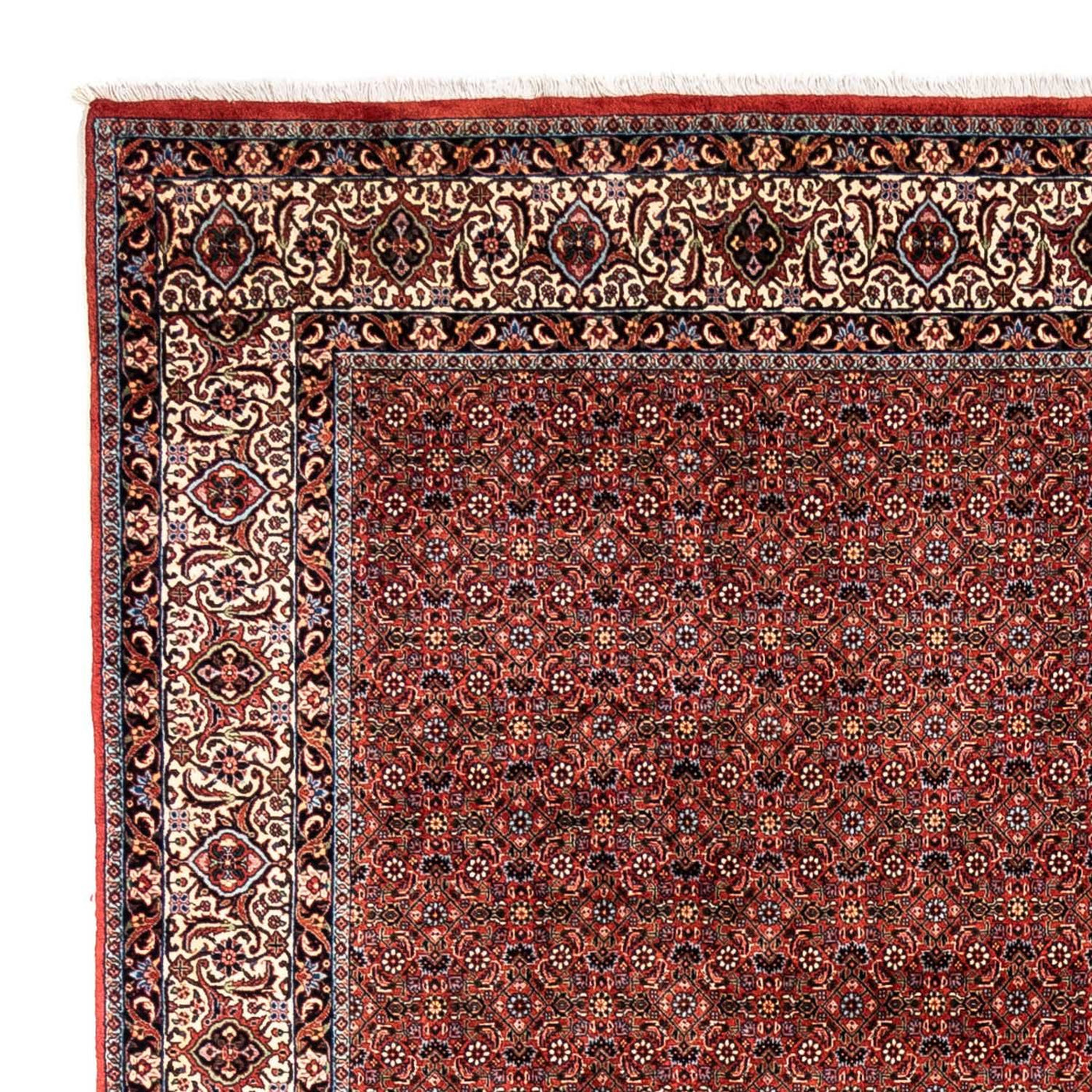 Bidjar - Takab Rug 363x248cm - Persian Rugs