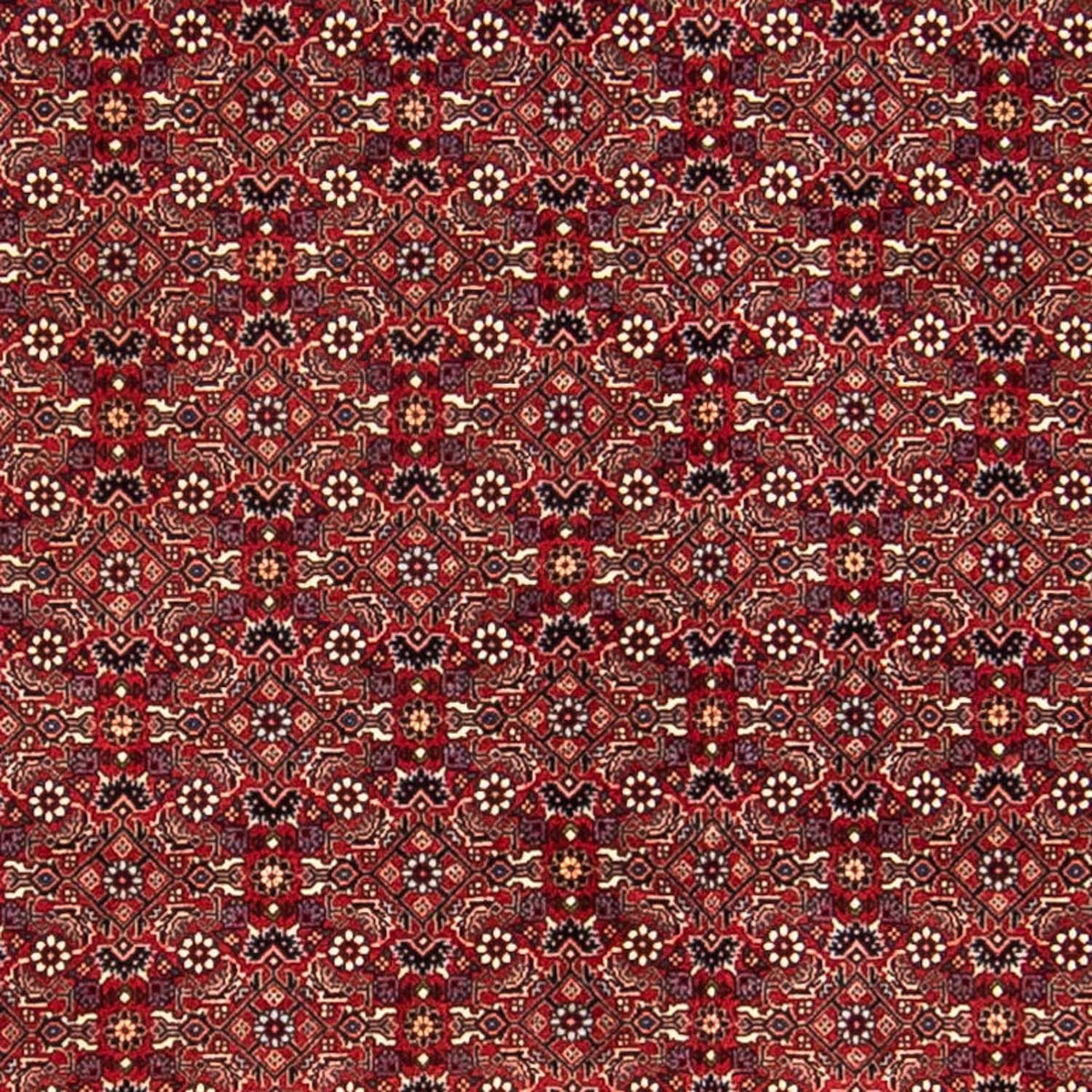 Perser Rug - Bidjar - 288 x 256 cm - dark red