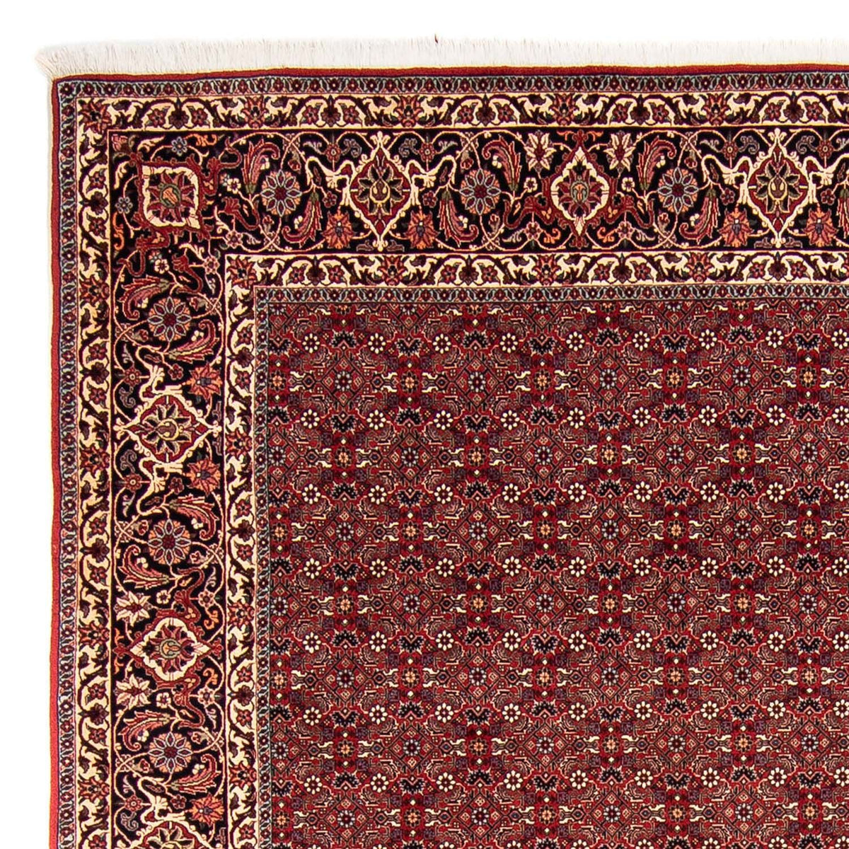 Perser Rug - Bidjar - 288 x 256 cm - dark red