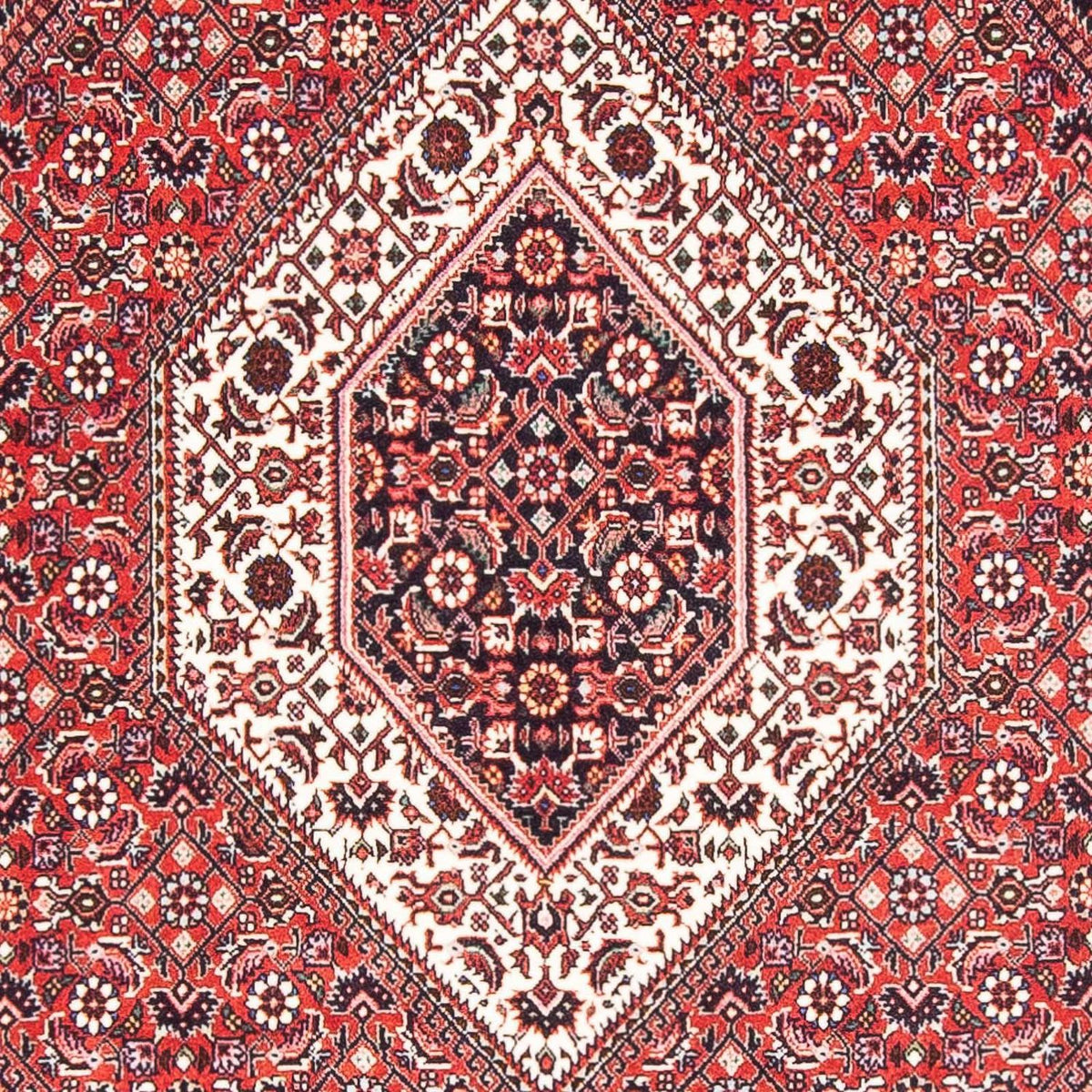 Perser Rug - Bidjar - 175 x 112 cm - red