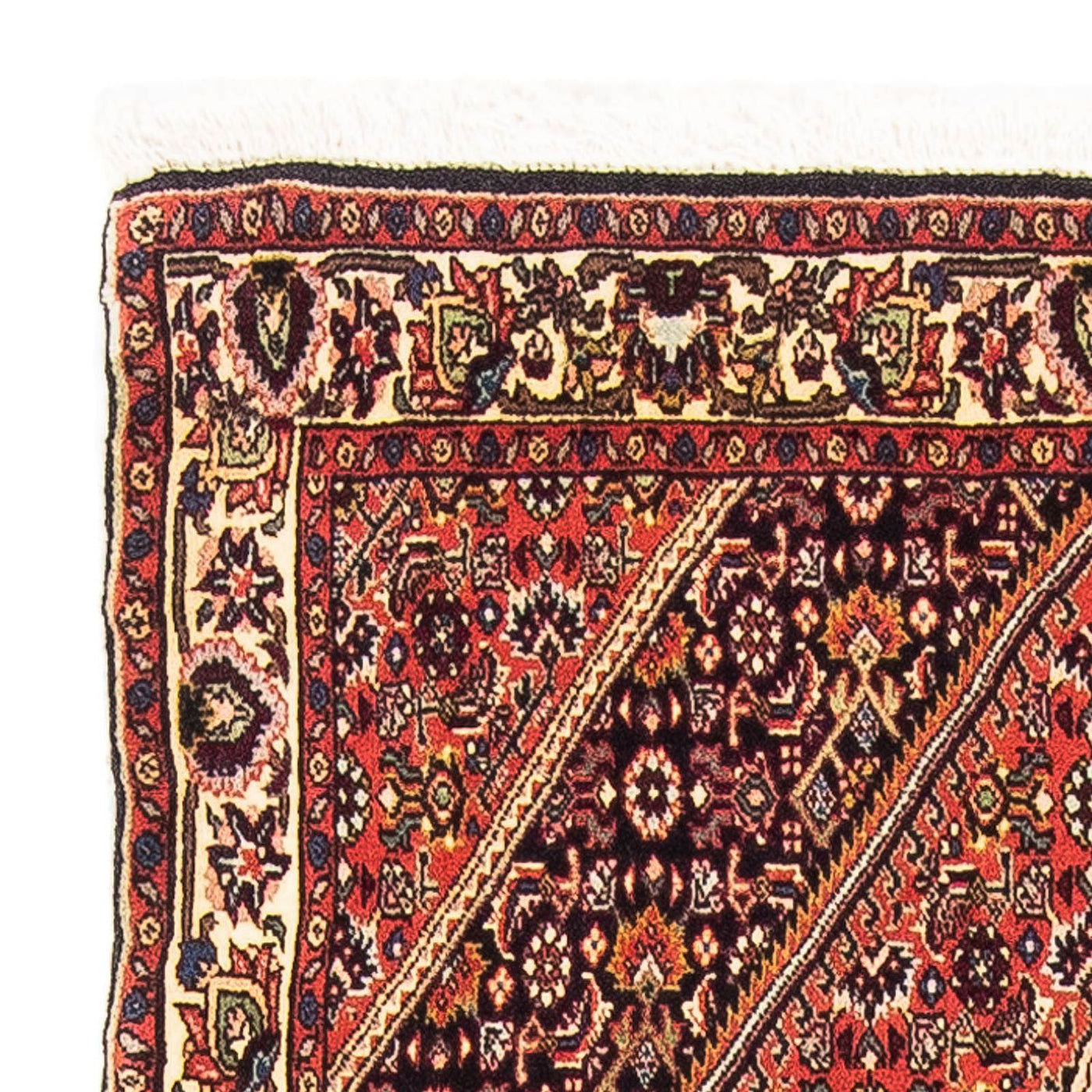 Bidjar - Zanjan Rug 151x89cm - Persian Rugs