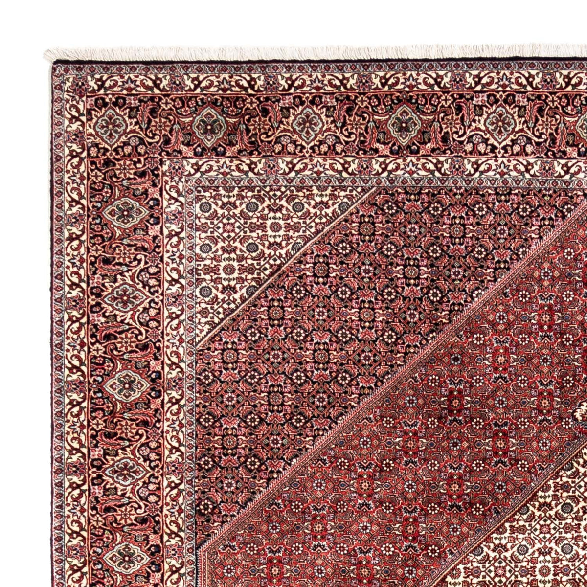Bidjar - Takab Rug 253x343cm - Persian Rugs