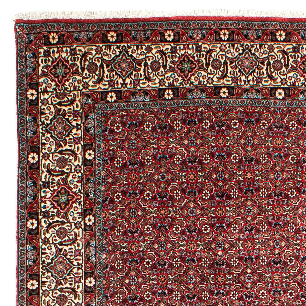 Bidjar Rug 203x290cm - Persian Rugs