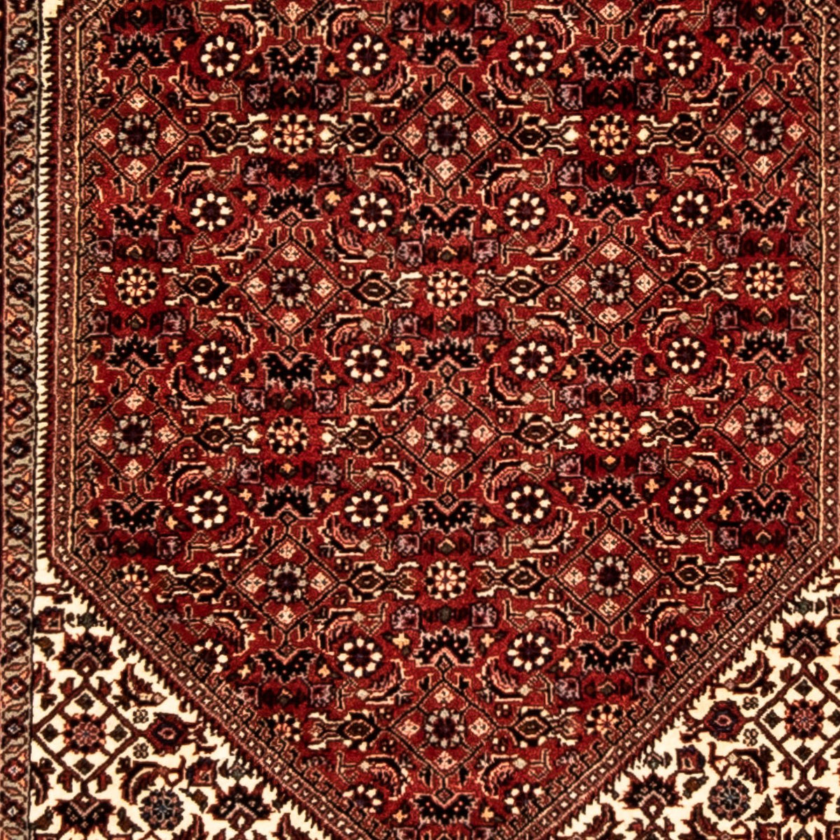 Runner Perser Rug - Bidjar - 313 x 82 cm - multicolored