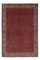 Bidjar Rug 243x172cm - Persian Rugs