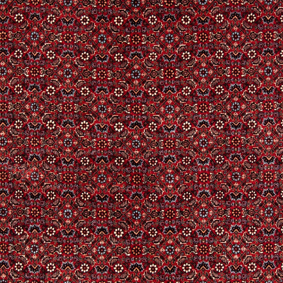 Perser Rug - Bidjar - 243 x 172 cm - dark red