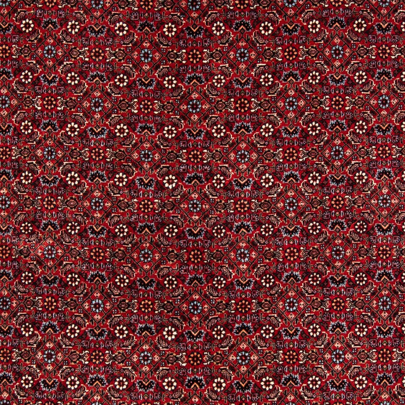 Perser Rug - Bidjar - 243 x 172 cm - dark red