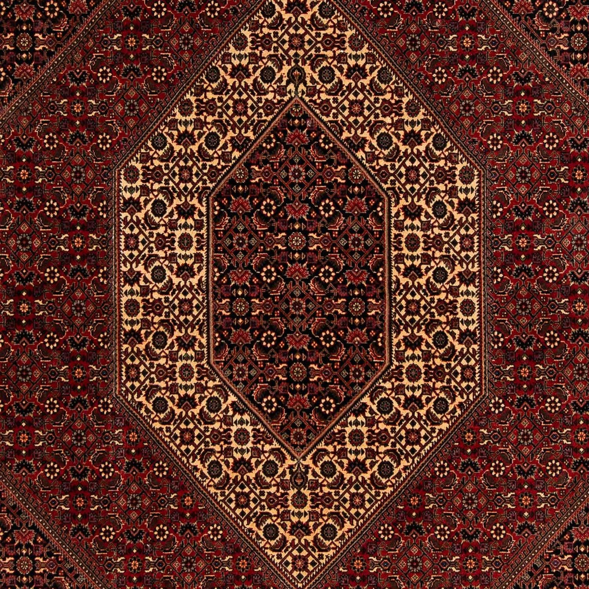 Perser Rug - Bidjar - 248 x 200 cm - dark red