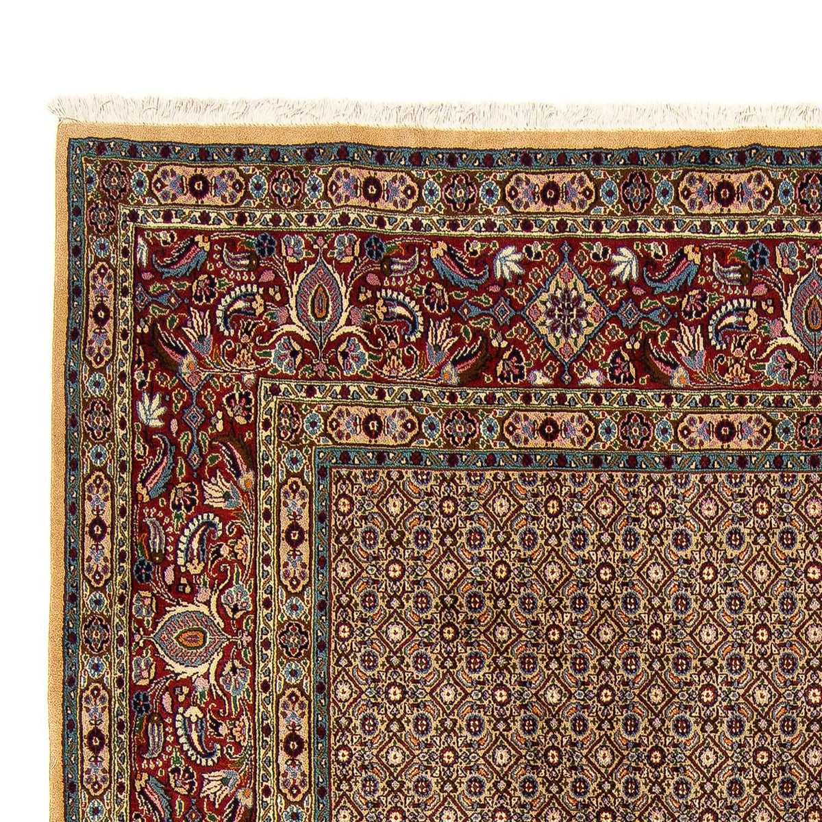 Moud Rug 243x303cm - Persian Rugs