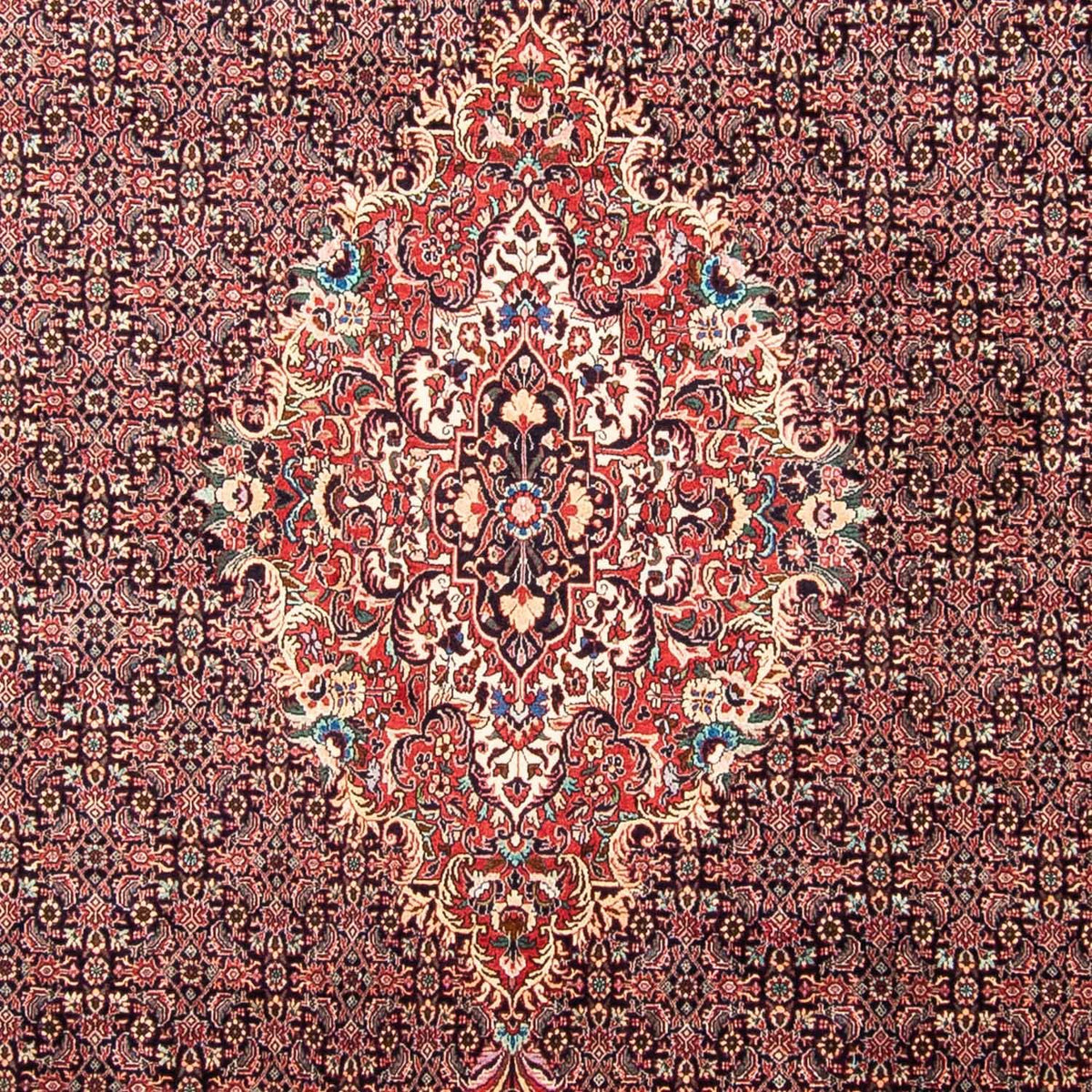 Perser Rug - Bidjar - 355 x 246 cm - light red