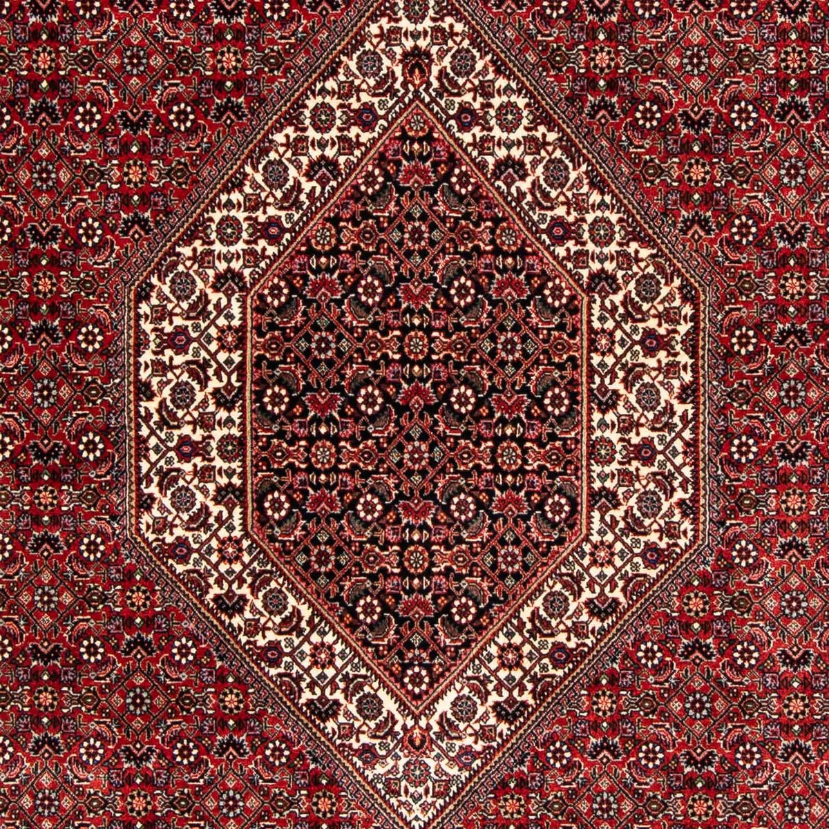 Perser Rug - Bidjar - 250 x 170 cm - dark red