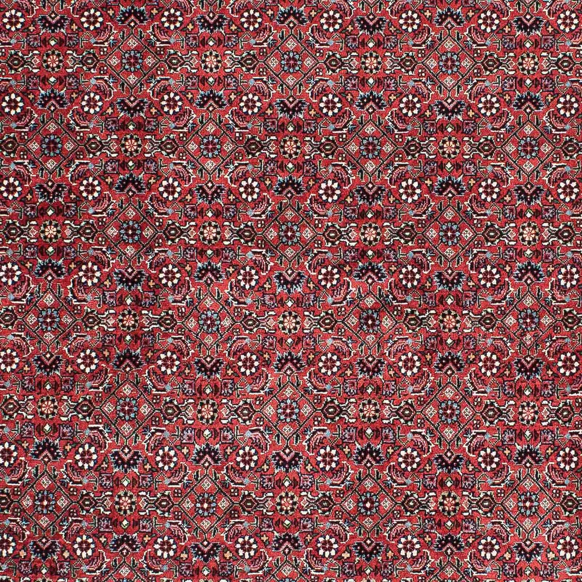 Perser Rug - Bidjar - 212 x 130 cm - light red
