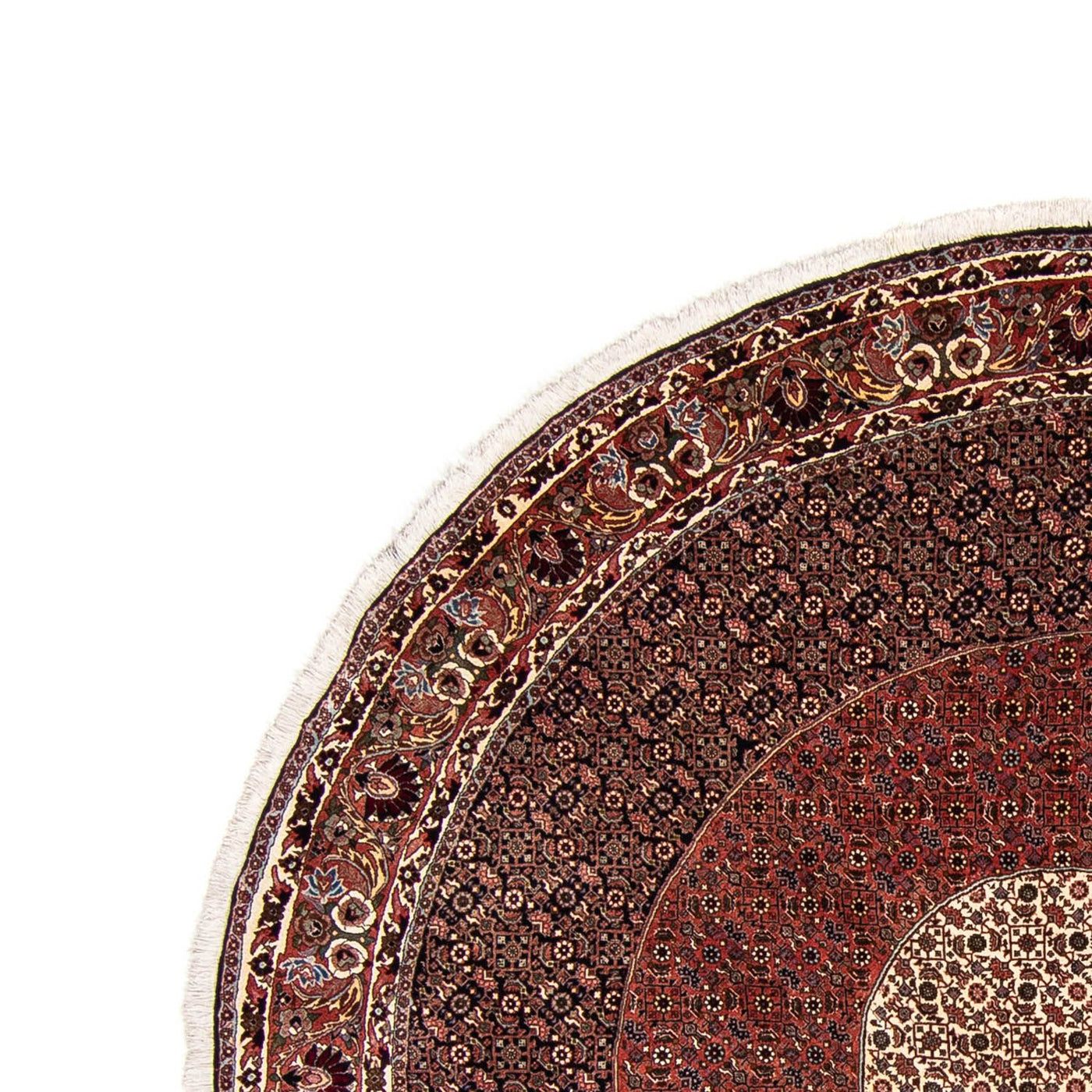 Bidjar Rug 260x260cm - Persian Rugs