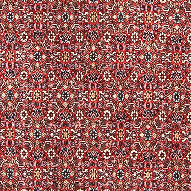 Perser Rug - Bidjar - 297 x 249 cm - light red