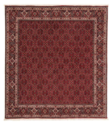 Perser Rug - Bidjar square  - 212 x 206 cm - dark red