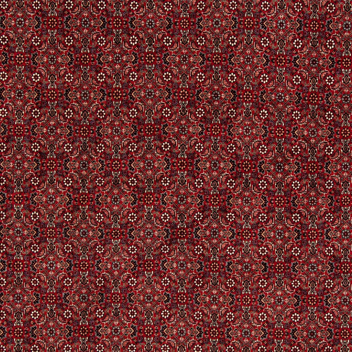 Perser Rug - Bidjar square  - 212 x 206 cm - dark red