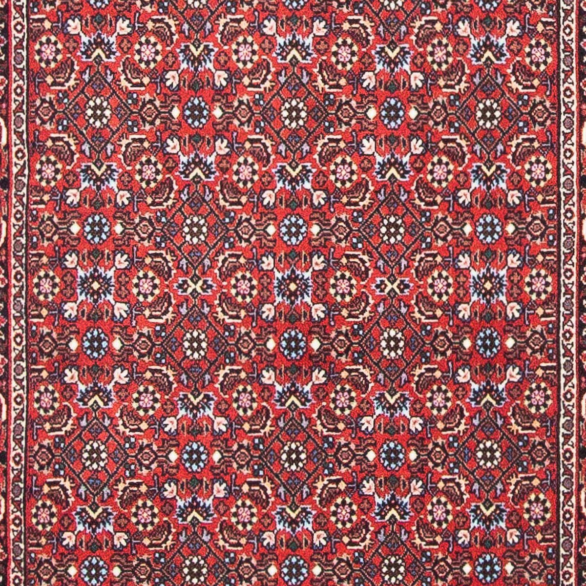 Perser Rug - Bidjar - 139 x 70 cm - red
