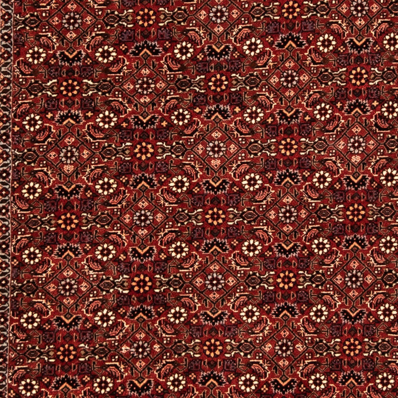 Bidjar Rug 86x304cm - Persian Rugs
