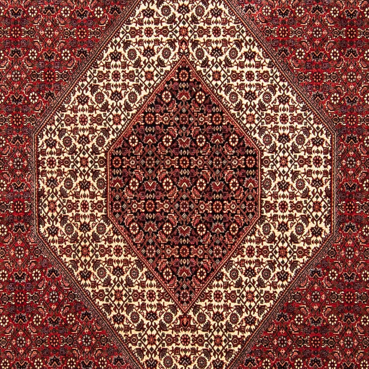 Perser Rug - Bidjar - 304 x 251 cm - dark red
