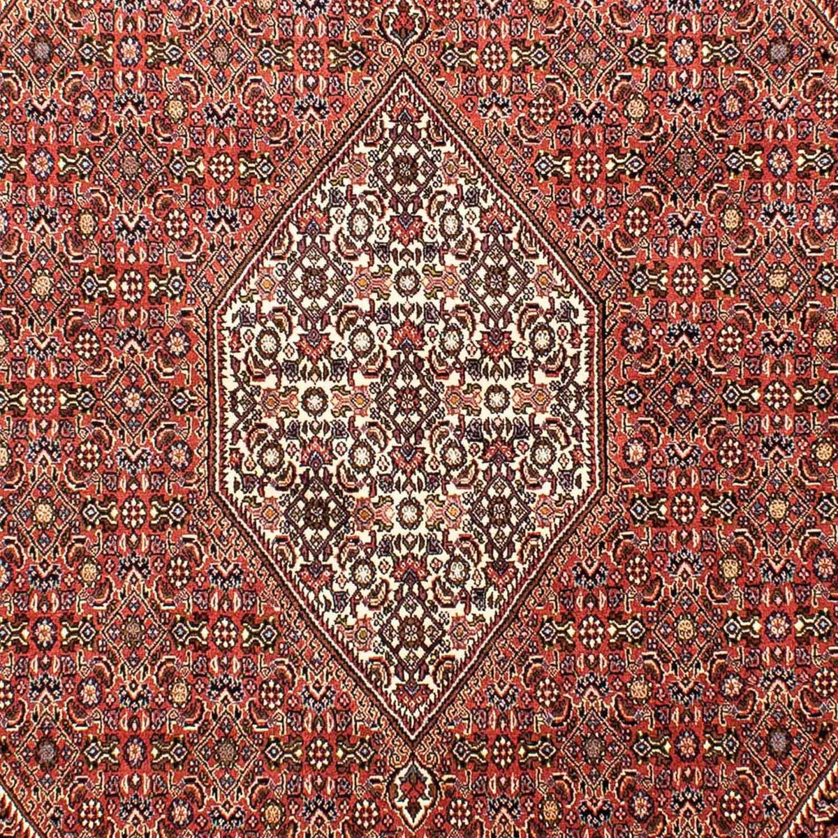 Perser Rug - Bidjar - 268 x 165 cm - light red