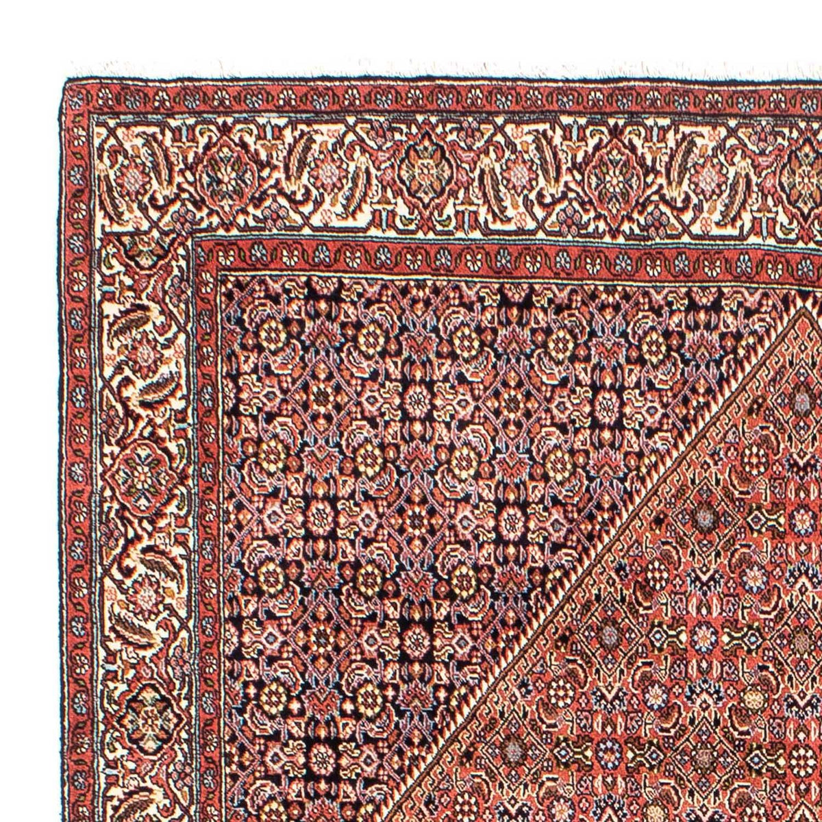 Bidjar Rug 165x268cm - Persian Rugs