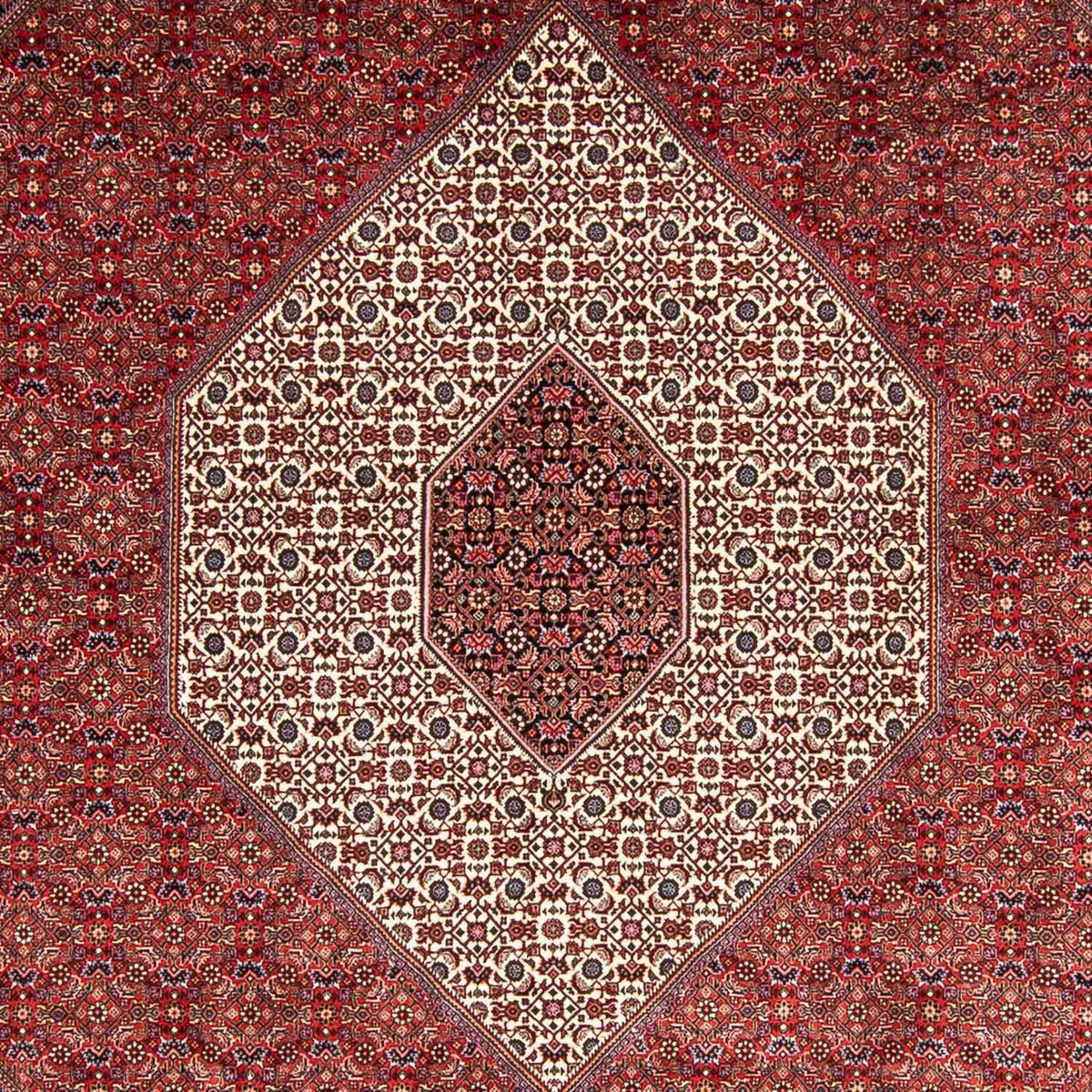 Perser Rug - Bidjar - 348 x 252 cm - dark red