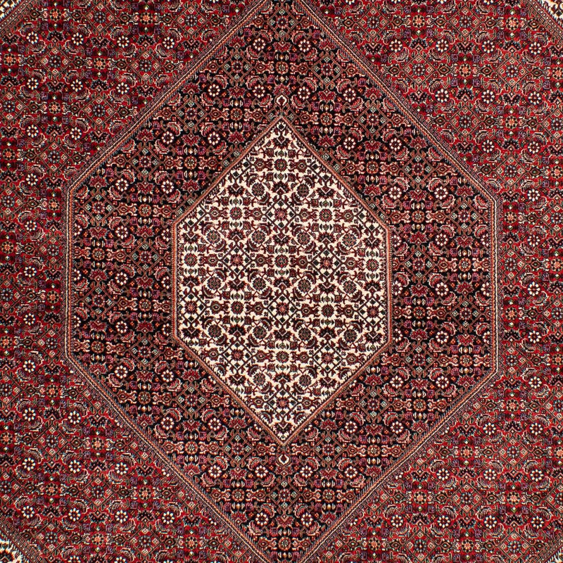 Bidjar Rug 304x204cm - Persian Rugs
