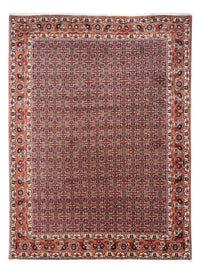 Perser Rug - Bidjar - 332 x 248 cm - rust