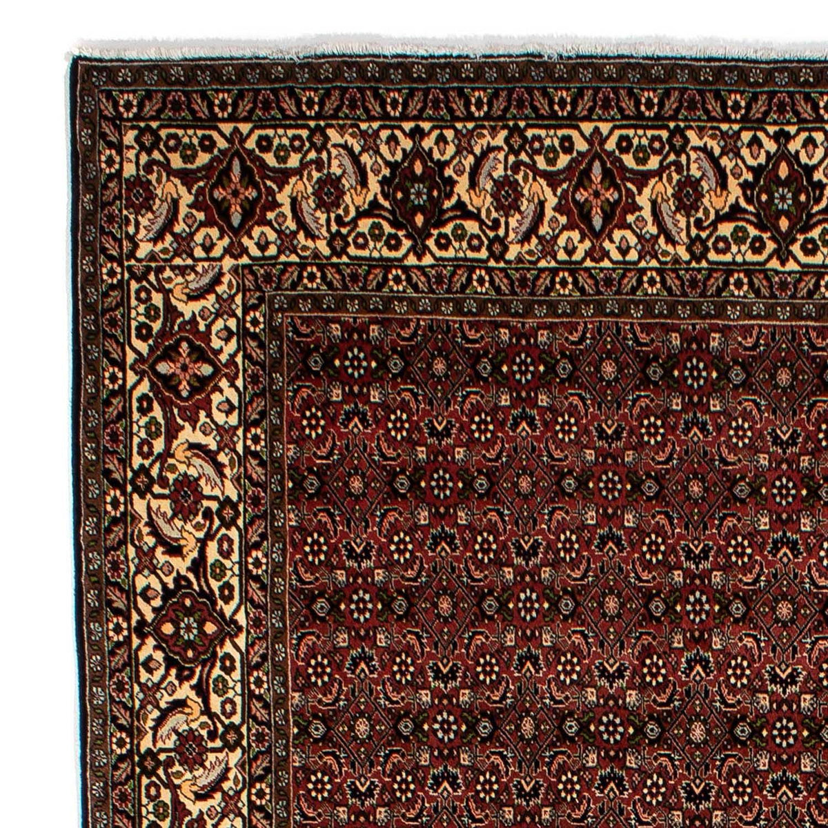 Perser Rug - Bidjar - 293 x 198 cm - brown
