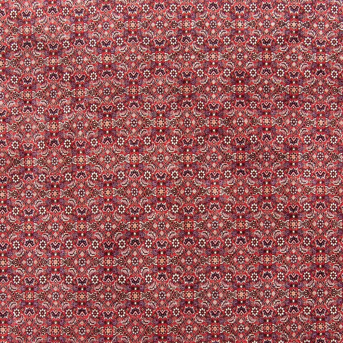 Perser Rug - Bidjar - 343 x 251 cm - light red